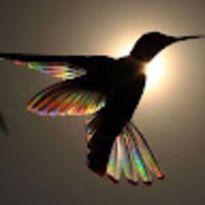 maryannbressie_1 avatar