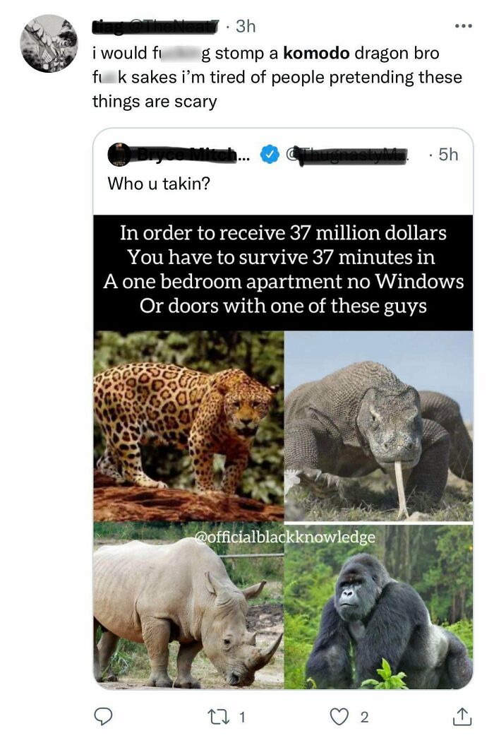 These People Think They Could Fight A Komodo Dragon