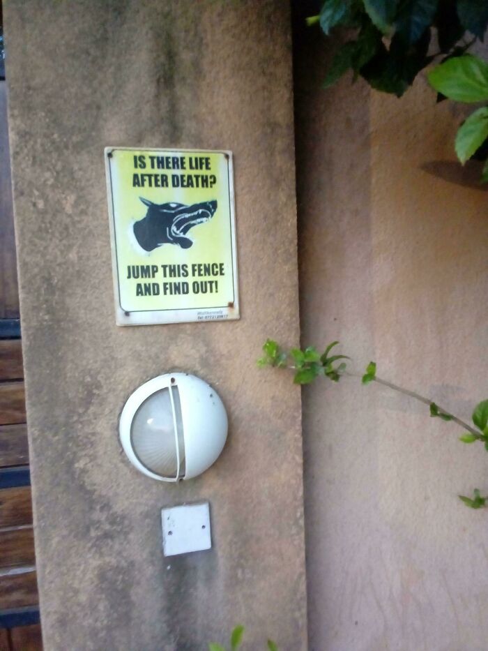 Neighbor Just Put This Up