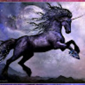 w_strittmatter avatar