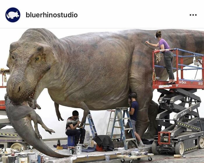 The Size Of Sue, The T.rex