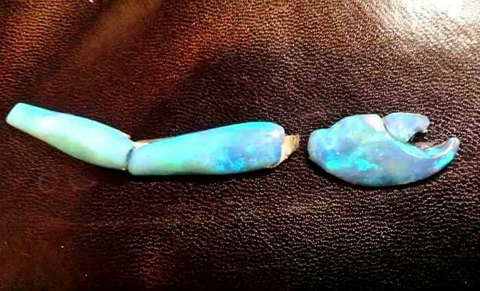Opalized Crab Claw