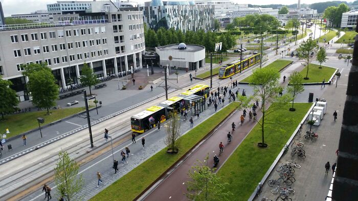 Dedicated Bus/Tram Lane And Cycle Highway At My University