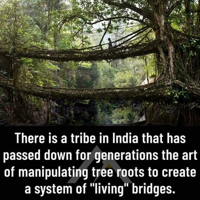 Khasi & Jaintia People