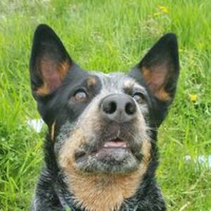 katrinatammybarnes avatar