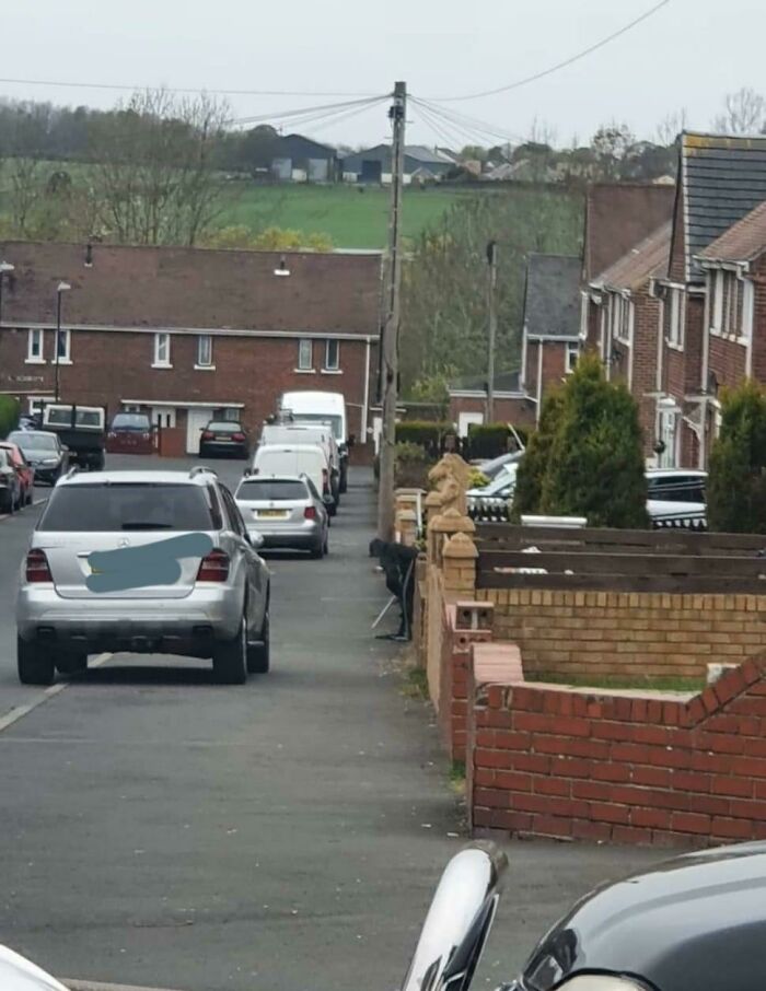 So I Came Out The House At 5 This Morning And I Saw This Bloke Leaning On A Wall With A Walking Stick