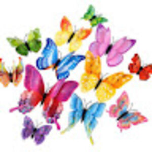 thegirlwithnoname avatar