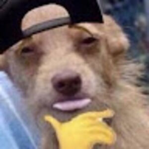 claygisellalimpahgunawan avatar