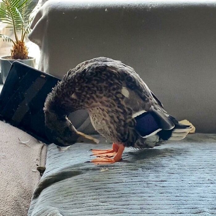 Yes Billy Those Are Your Feet