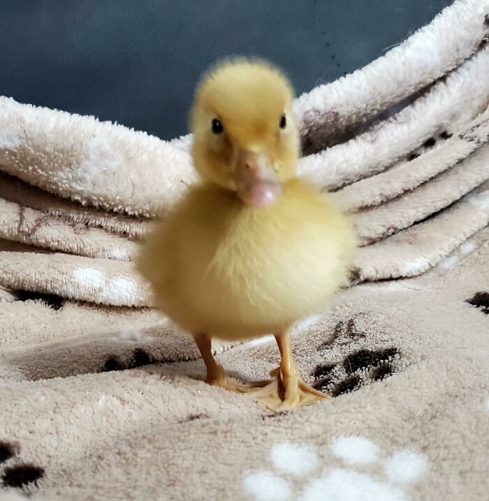 Born Tuesday 2/22/22. I Think I Have To Name Him 2