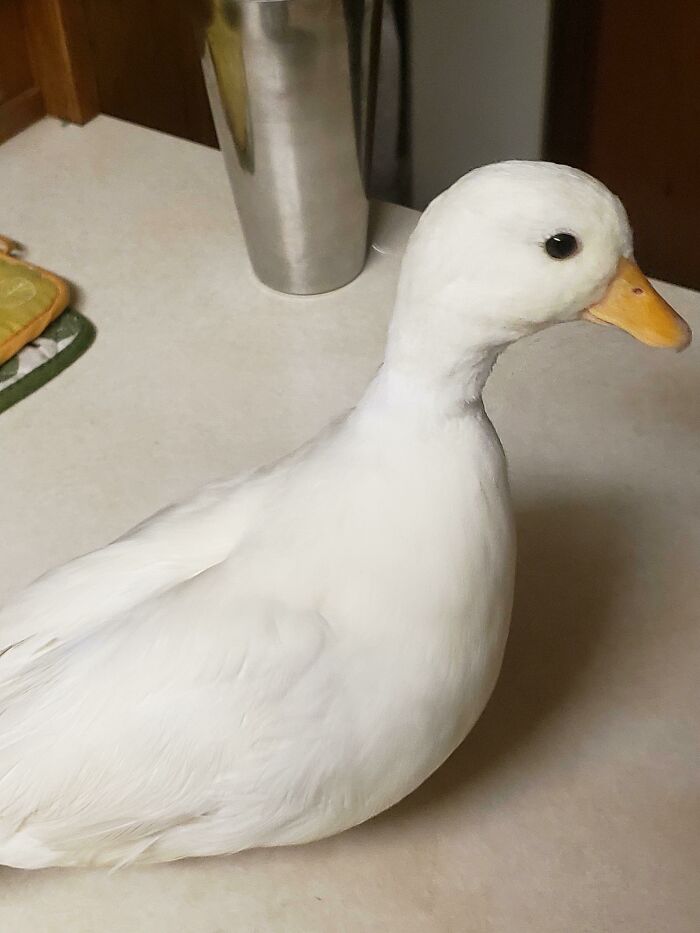 Fred, But A Newer Photo