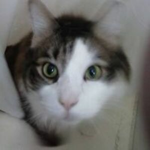 cynthiawatt49 avatar