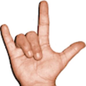 lorraineliggera avatar