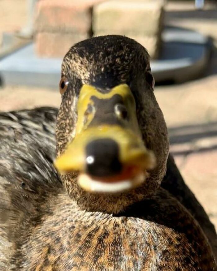 POV: You’re Kissing Billy