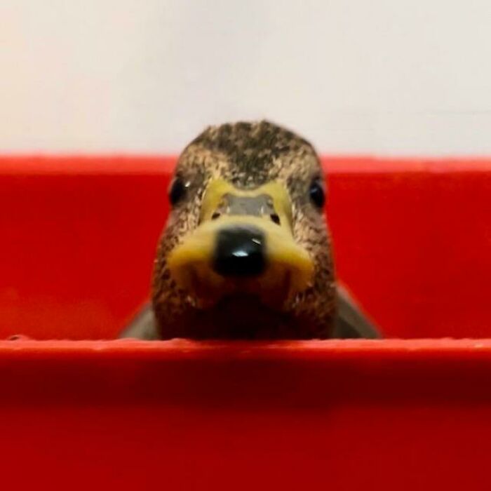 It’s Pictures Like These Why I Love Posting On The Internet!