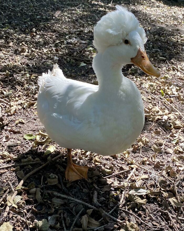 This Guy Turned 2 Today!