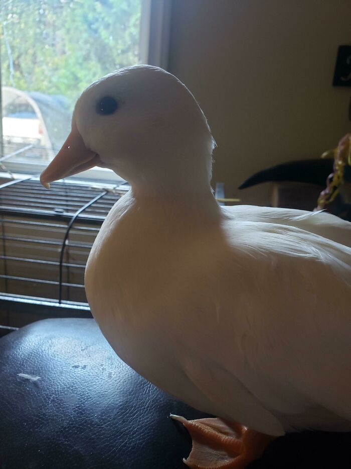 Fresh Out Of The Water!