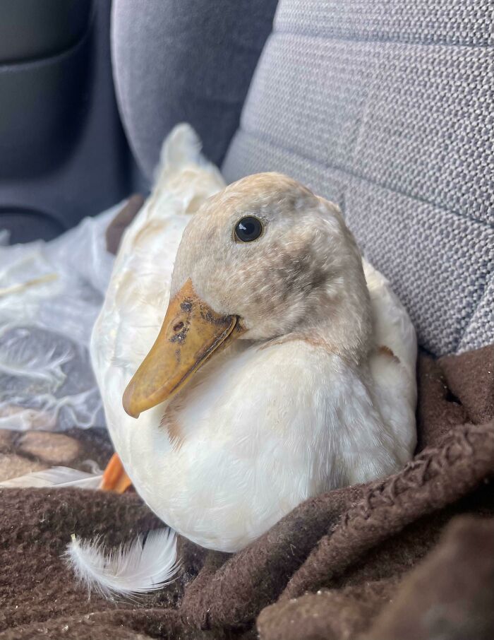 Hello Everyone, This Is Carl!