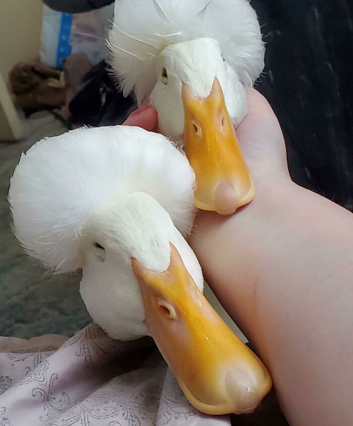 The Boys Came To Visit Me This Morning!