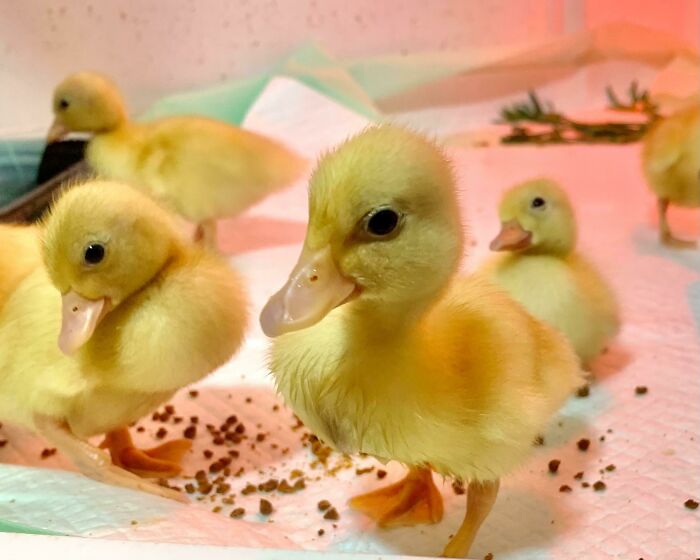 So Photogenic. I Can’t Help Myself