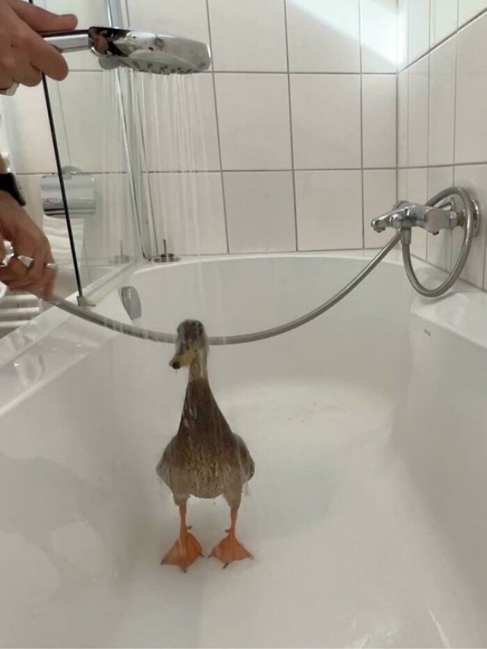 The Only Thing He Needs Is A Tiny Umbrella