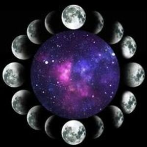 elkinskristie avatar