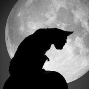 thepennywhistle avatar