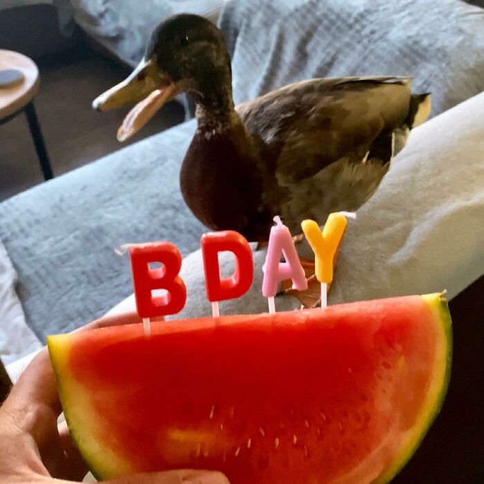 Billy’s 4th Birthday!