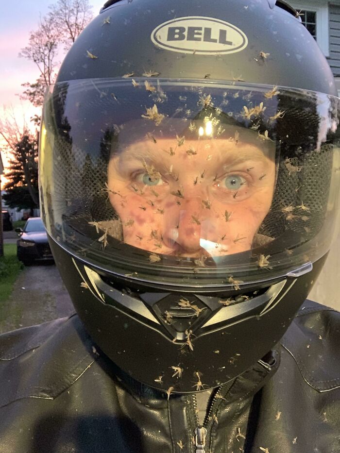 Glad I Didn’t Wear My Open-Face Helmet