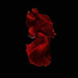 cherylscott123 avatar