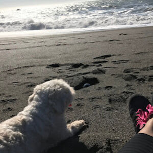 emiliacarbajal avatar