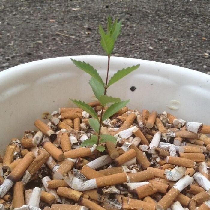 The Beautiful West Side Of Detroit Has It's Fair Share Of Nature