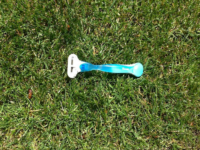 Stunning Hq View Of Venus As Seen From A Verdant Field 