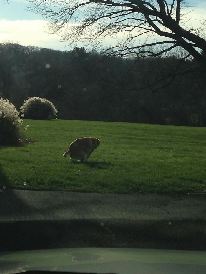 The Majesty Of Nature