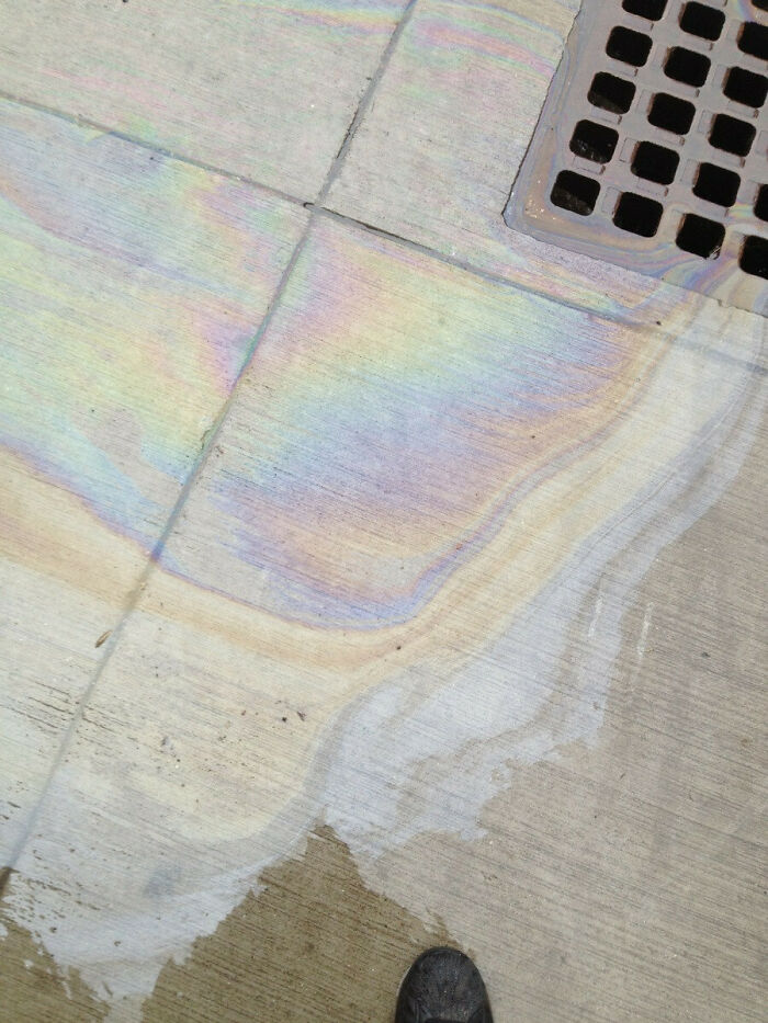 Beautiful Rainbow In South Boston