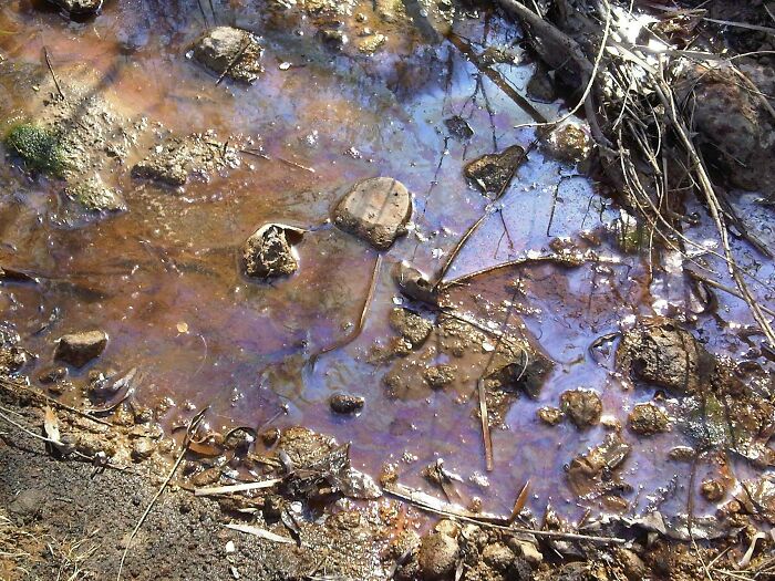 Breathtaking Creek In Ontario, Canada