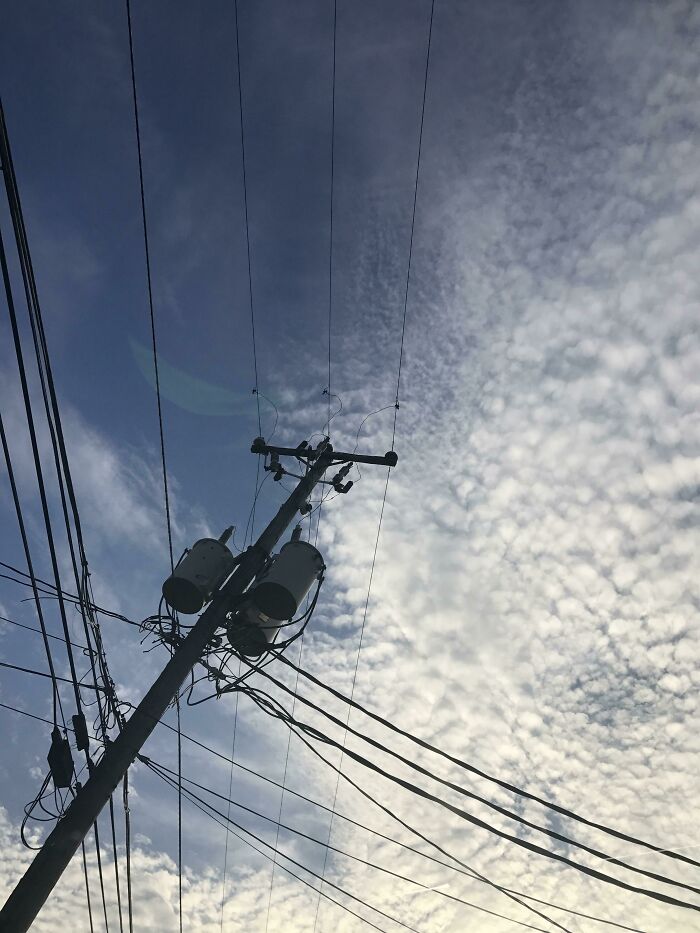 Walked 0.00004 Miles In 68° Heat To Get This Picture For You All