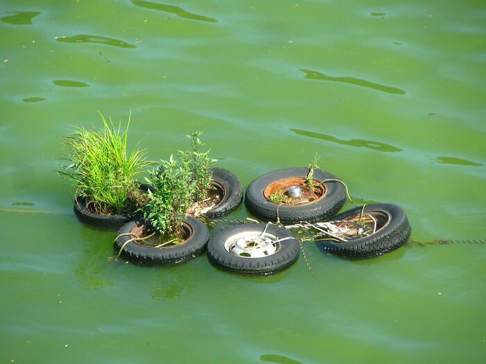 A Lovely Floating Island On A Lake In Japan