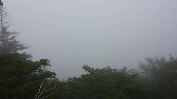 Travelled 3 Hours By Bus To See Mt. Fuji And Got This Incredible Shot