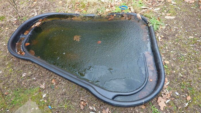 Beautiful Frozen Lake