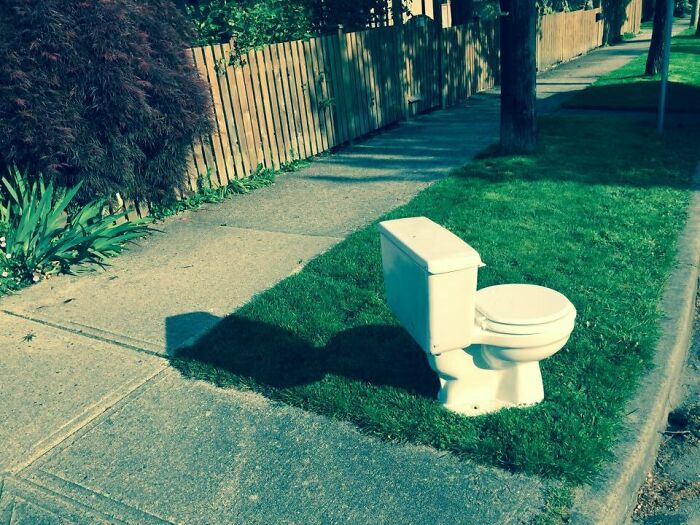 Thought-Provoking Street Art In Vancouver, Canada