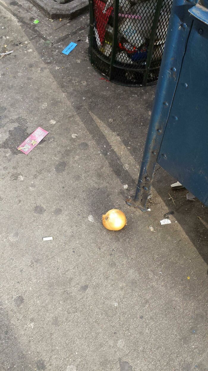 Wild Onion Flourishing In A Concrete Jungle