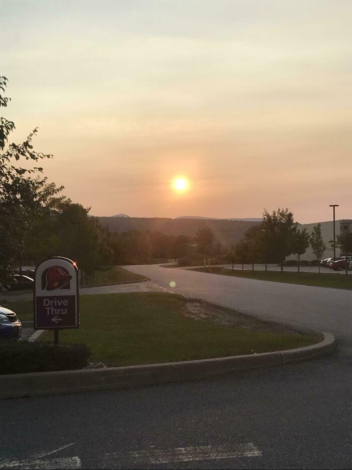 Drove Like 4 And A Half Minutes Or Something Like That To Get This