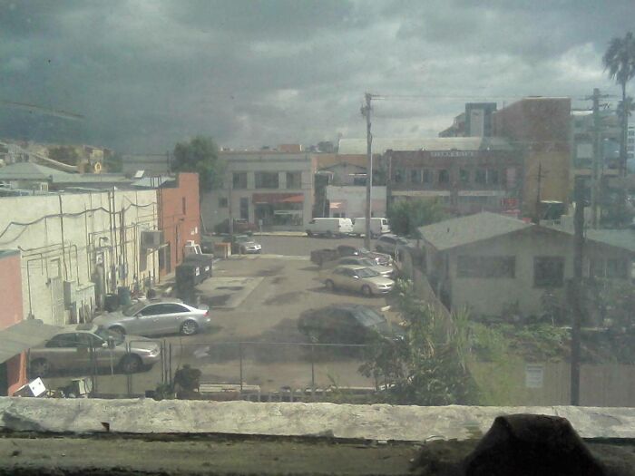 View Of My Front Yard In Sunny San Diego