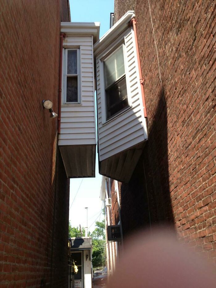 Blossoming Philadelphia Architecture Against The Skyline