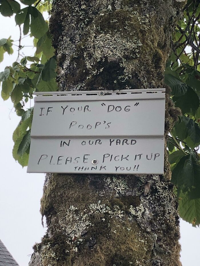 Who Else Would Do That?