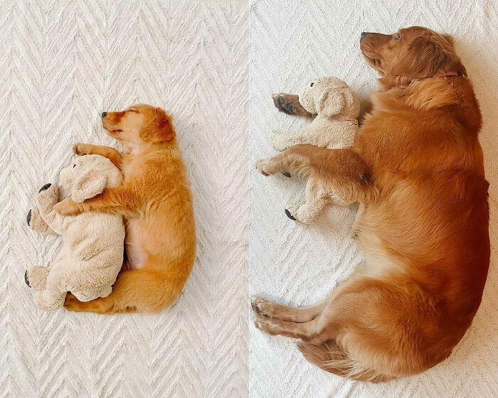 One Year Difference… Some Things Never Change 🥰