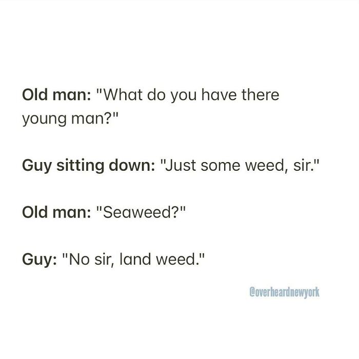 Outside Of Trader Joe’s. 14th Street. 👴🌱
overheard By @marm1206 📥
#landweed #overheardnewyork