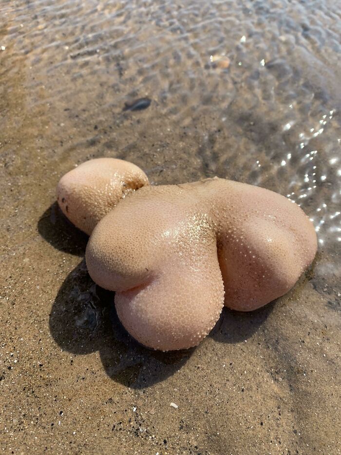 Can Anyone Help Identify This?