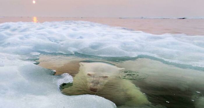 Does This Go Here? Idk It Just Instills Fear Deep Within My Soul